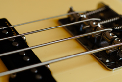 Active Jazz Bass/Basse