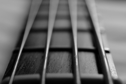 Active Jazz Bass/Basse