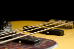 Active Jazz Bass/Basse