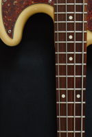 Active Jazz Bass/Basse